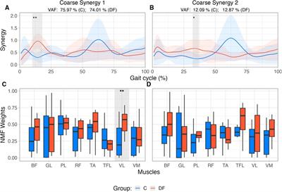 “Fine synergies” describe motor adaptation in people with drop foot in a way that supplements traditional “coarse synergies”